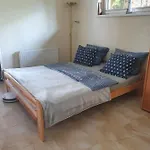 Pokoiki Krotka10